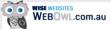 Web Owl - Website Development Programming and Management Company